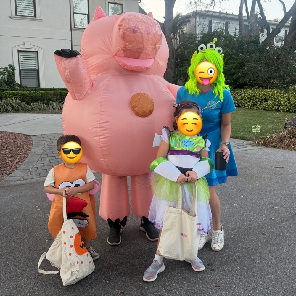Toy Story Halloween Costumes Mr Potato Head,Girls Buzz,Adult Alien,Adult Hamm